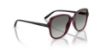 Picture of Vogue Sunglasses VO5601S
