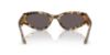 Picture of Vogue Sunglasses VO5585S