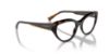 Picture of Vogue Eyeglasses VO5560