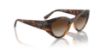Picture of Vogue Sunglasses VO5566S