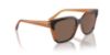 Picture of Vogue Sunglasses VO5558S