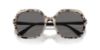 Picture of Vogue Sunglasses VO5561S
