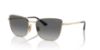 Picture of Vogue Sunglasses VO4308S