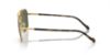 Picture of Vogue Sunglasses VO4289S