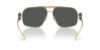 Picture of Versace Sunglasses VE2269