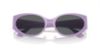 Picture of Versace Sunglasses VE2263
