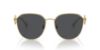 Picture of Versace Sunglasses VE2259D