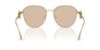 Picture of Versace Sunglasses VE2259D