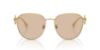 Picture of Versace Sunglasses VE2259D