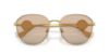 Picture of Versace Sunglasses VE2259D