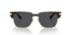 Picture of Versace Sunglasses VE4447
