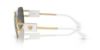 Picture of Versace Sunglasses VE2251