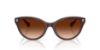 Picture of Ralph Sunglasses RA5326U