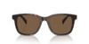 Picture of Ralph Sunglasses RA5313U