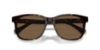 Picture of Ralph Sunglasses RA5313U
