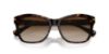 Picture of Ralph Sunglasses RA5310U