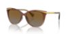 Picture of Ralph Sunglasses RA5309U