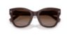 Picture of Ralph Sunglasses RA5301U