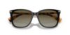 Picture of Ralph Sunglasses RA5293
