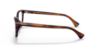 Picture of Ralph Eyeglasses RA7133U