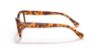 Picture of Ralph Eyeglasses RA7113
