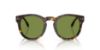 Picture of Ralph Lauren Sunglasses RL8229U