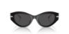 Picture of Ralph Lauren Sunglasses RL8227U