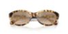 Picture of Ralph Lauren Sunglasses RL8226U