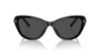Picture of Ralph Lauren Sunglasses RL8224U