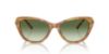 Picture of Ralph Lauren Sunglasses RL8224U