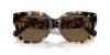 Picture of Ralph Lauren Sunglasses RL8221