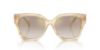 Picture of Ralph Lauren Sunglasses RL8221