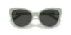 Picture of Ralph Lauren Sunglasses RL8215BU