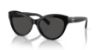 Picture of Ralph Lauren Sunglasses RL8213