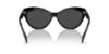 Picture of Ralph Lauren Sunglasses RL8213