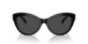 Picture of Ralph Lauren Sunglasses RL8213