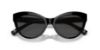 Picture of Ralph Lauren Sunglasses RL8213