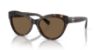Picture of Ralph Lauren Sunglasses RL8213