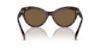 Picture of Ralph Lauren Sunglasses RL8213