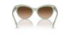 Picture of Ralph Lauren Sunglasses RL8213
