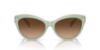 Picture of Ralph Lauren Sunglasses RL8213
