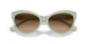 Picture of Ralph Lauren Sunglasses RL8213