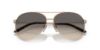 Picture of Ralph Lauren Sunglasses RL7077