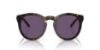 Picture of Ralph Lauren Sunglasses RL8204QU