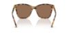 Picture of Ralph Lauren Sunglasses RL8201