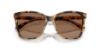 Picture of Ralph Lauren Sunglasses RL8201