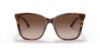 Picture of Ralph Lauren Sunglasses RL8201