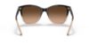 Picture of Ralph Lauren Sunglasses RL8201