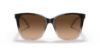 Picture of Ralph Lauren Sunglasses RL8201