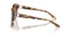 Picture of Ralph Lauren Sunglasses RL8190Q